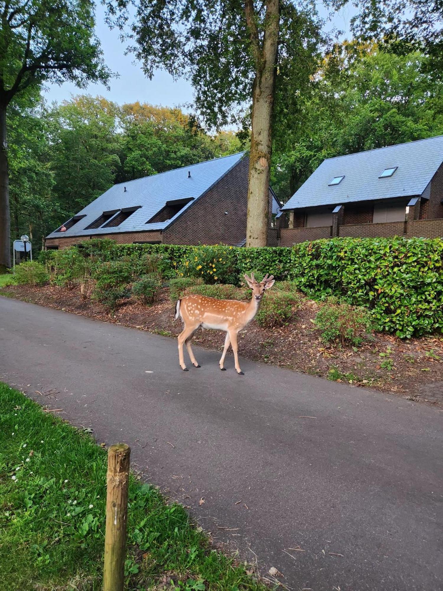 Den 1 Hengelhoef Aan de Wolfsberg Exterior foto
